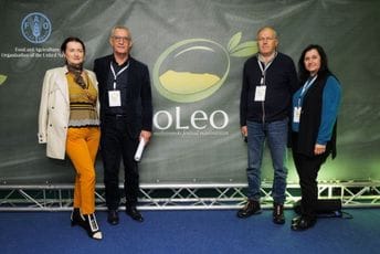 Crnogorski maslinari na Festivali maslina u Trebinju