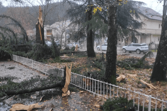 (FOTO) Nikšić: Grom udario u dvorište škole, oštećen krov