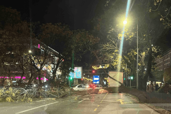 Palo stablo: Na podgoričkom bulevaru otežan saobraćaj