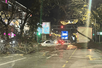 Palo stablo: Na podgoričkom bulevaru otežan saobraćaj
