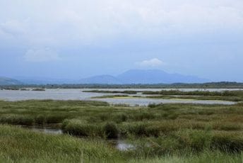 Vlada usvojila Informaciju o osnivanju upravljačke strukture Parka prirode „Ulcinjska solana“: Državi osnivački udio od 60 odsto, Opštini Ulcinj 40 odsto