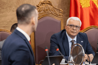 Mandić: Upozoravam Vladu da nemaju podršku za ovo što rade