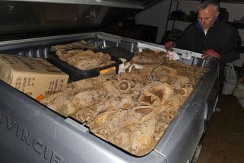 MUP:  U dvorištu škole u Radanovićima pronađene bombe iz II svjetskog rata