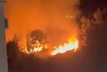 Barski vatrogasci tokom novogodišnje noći ugasili šest požara: Gorjelo nisko rastinje, palme, napuštena kuća