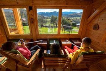 Apiterapija: Susret moći prirode i čovjekovog znanja