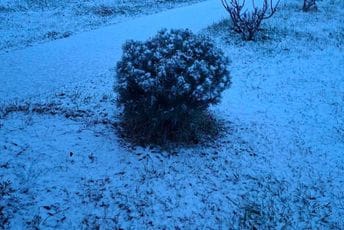 (VIDEO/FOTO) Pada snijeg u Podgorici, Danilovgrad, na Cetinju...