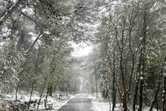 Pogledajte kako je jutros na Gorici (FOTO)