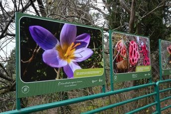 (FOTO) Izložba živog svijeta najveće gradske šume: Gorica na 18 panoa