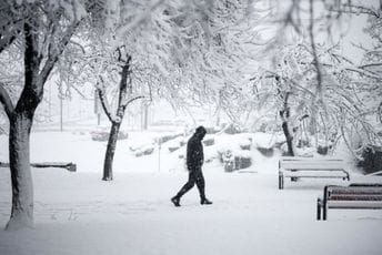 Tragedija u Sarajevu: Snijeg srušio stablo koje je usmrtilo ženu