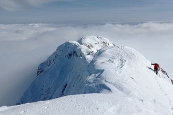 Hajla: Netaknuti gorostas sjeveroistoka Crne Gore, odakle pogled seže do šest država