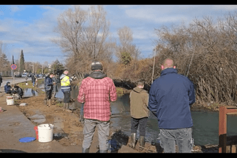 (VIDEO) Mareza: Pastrmke se izlile iz ribnjaka, mještani pecaju