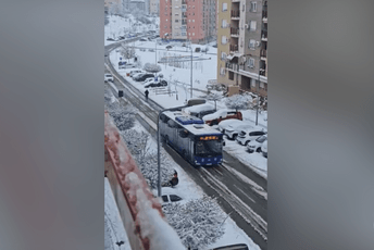 Autobus u Beogradu zbog poledice vozio u rikverc, snimak brzo postao popularan