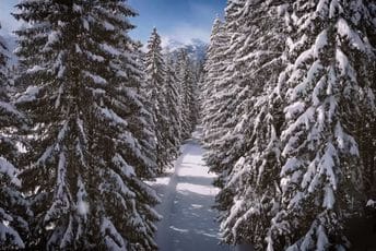 Evo gdje je jutros izmjereno najviše snijega u Crnoj Gori