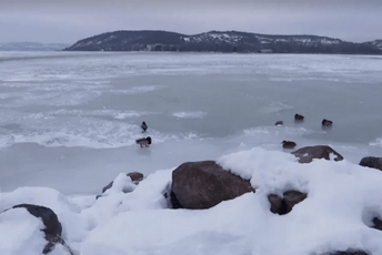(VIDEO) Usljed niskih temperatura jezero Balaton zaledilo se prvi put nakon devet godina