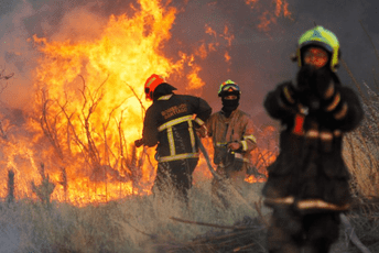 Požari pustoše Čile: Poginulo 16 ljudi, vatra guta sve pred sobom, Borić proglasio 'stanje katastrofe'