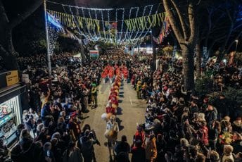 Praznik mimoze u Herceg Novom od 13. februara: Prvog vikenda velika fešta na rivijeri i nastupi regionalnih zvijezda