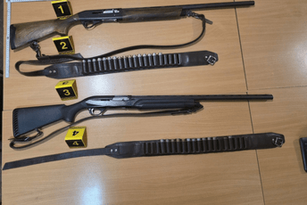 Bijelo Polje: Ranio brata u lovu, htio da upuca psa lutalicu