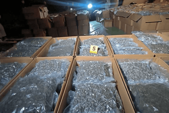 Najveća zapljena marihuane u Srbiji: U selu Konjuh otkriveno pet tona droge