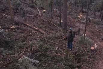 Miloš Rajković, Danko Popović, Alen Kalač i Rifat Kalač osumnjičeni da su dio lanca šumske mafije