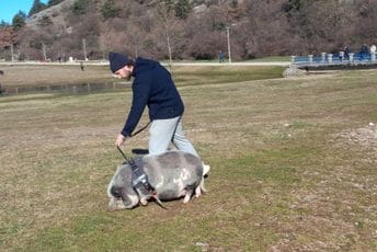 "Pitome je naravi": Nesvakidašnji kućni ljubimac na šetalištu pod Trebjesom