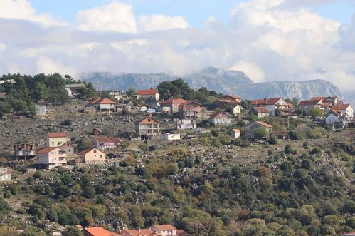 Krivokapić-Milićević: Ako želimo bržu legalizaciju, moramo ojačati institucije