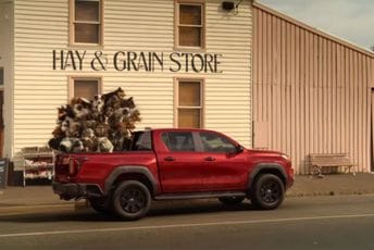 (VIDEO) Toyotina reklama sa psima podigla prašinu: "Ne možete ih tako prevoziti"