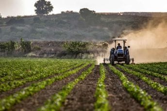 Država bez zemljišne politike ne može da ima ni agrarnu politiku Država bez zemljišne politike ne može da ima ni agrarnu politiku