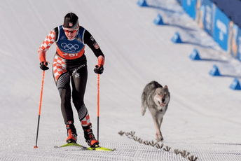 Nevjerovatne scene na ZOI: Sprintu se priključio i - pas (VIDEO) Nevjerovatne scene na ZOI: Sprintu se priključio i - pas (VIDEO)