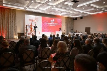 Ibrahimović: Fond za Zapadni Balkan most povjerenja i evropske budućnosti regiona Ibrahimović: Fond za Zapadni Balkan most povjerenja i evropske budućnosti regiona