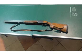 Podgorička policija uhapsila osobu koja je sinoć ustrijelila dva psa