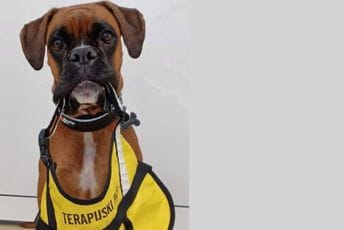 "Tješi šapom i pogledom": Zagrebačka psihijatrijska bolnica za djecu i mlade dobila terapijskog psa