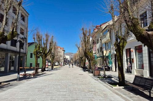 Ministarstvo: Preduzimamo aktivnosti povodom slučaja djece iz hraniteljske porodice sa Cetinja