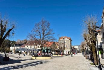 Lišena slobode: Cetinjanku sumnjiče da je fizički napala policajce