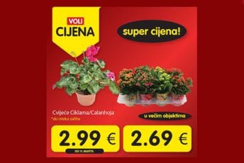 Četvrtak je u znaku novih Voli cijena!