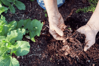 Organsko i mineralno đubrivo: Dvije filozofije ishrane zemljišta