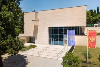 Prije tačno pola vijeka zvanično je formirana Crnogorska akademija nauka i umjetnosti