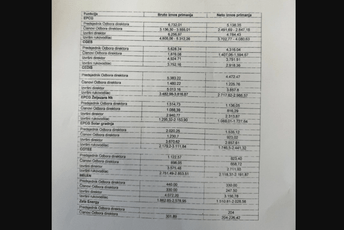 Popović: Ovo su plate rukovodilaca energetskog sektora, njih rast cijena ne pogađa