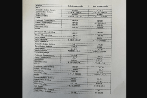 Popović: Ovo su plate rukovodilaca energetskog sektora, njih rast cijena ne pogađa