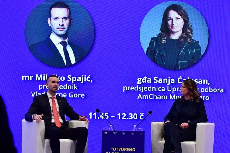 Spajić: Zakone usklađujemo sa EU, malo je prostora za greške, ali ko radi taj i griješi