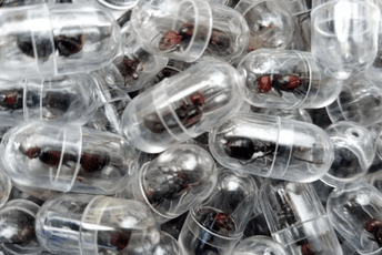 Kinez uhapšen u Keniji: Pokušao da prokrijumčari 2.000 egzotičnih mrava