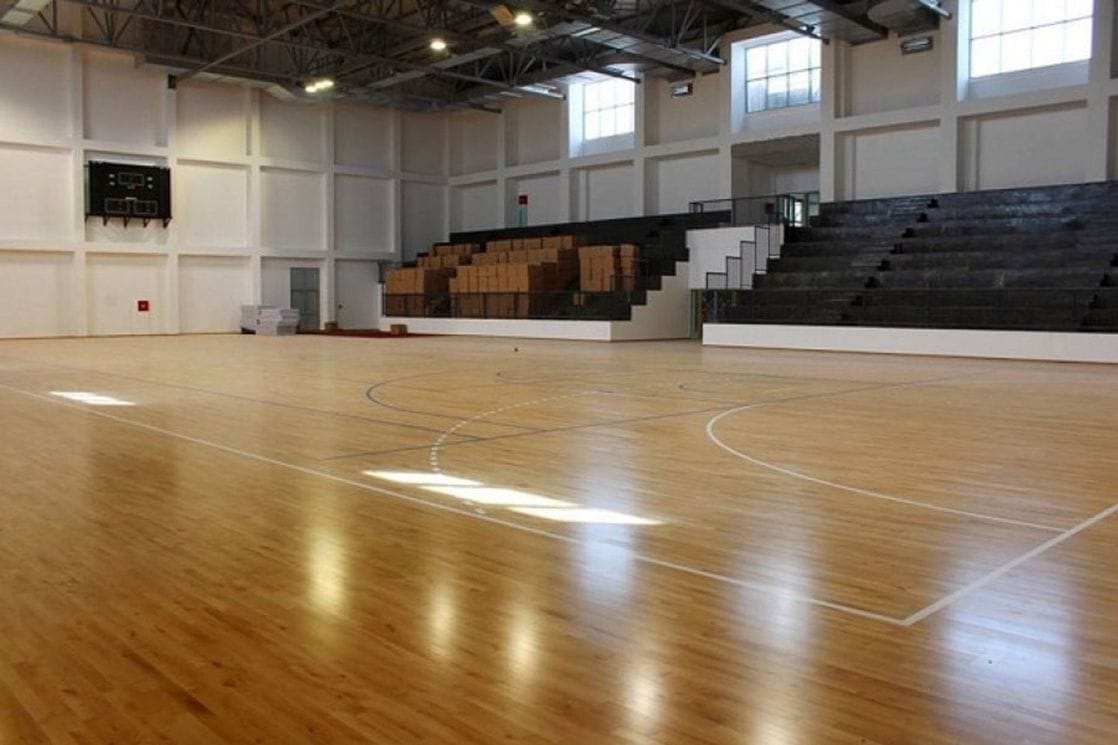 Civilni sektor: VDT da reaguje povodom skandiranja Ratku Mladiću u Zeti