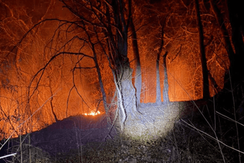 Bijelo Polje: Više desetina intervencija zbog šumskih požara, svi izazvani ljudskim faktorom