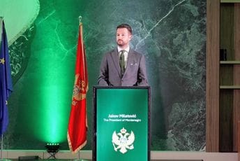 Milatović: Crnu Goru i Irsku ujedinjuju prijateljstvo i vjera u evropsku budućnost