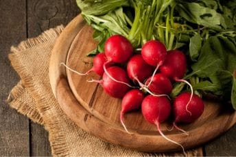 Rotkvica je više od ukusnog korijena: Smanjuje alergijsku reakciju na ubod insekta