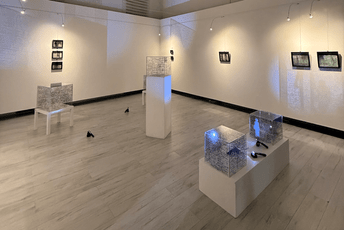 „Neuhvatljivo prisustvo“: Kroz igru rukopisa, svjetlosti i sjenki Jovane Vujović na Cetinju