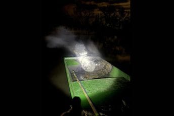 Krivolovci zapalili čamac i vanbrodski motor prilikom bjekstva na Skadarskom jezeru; NP: Ugrožena bezbjednost nadzornika