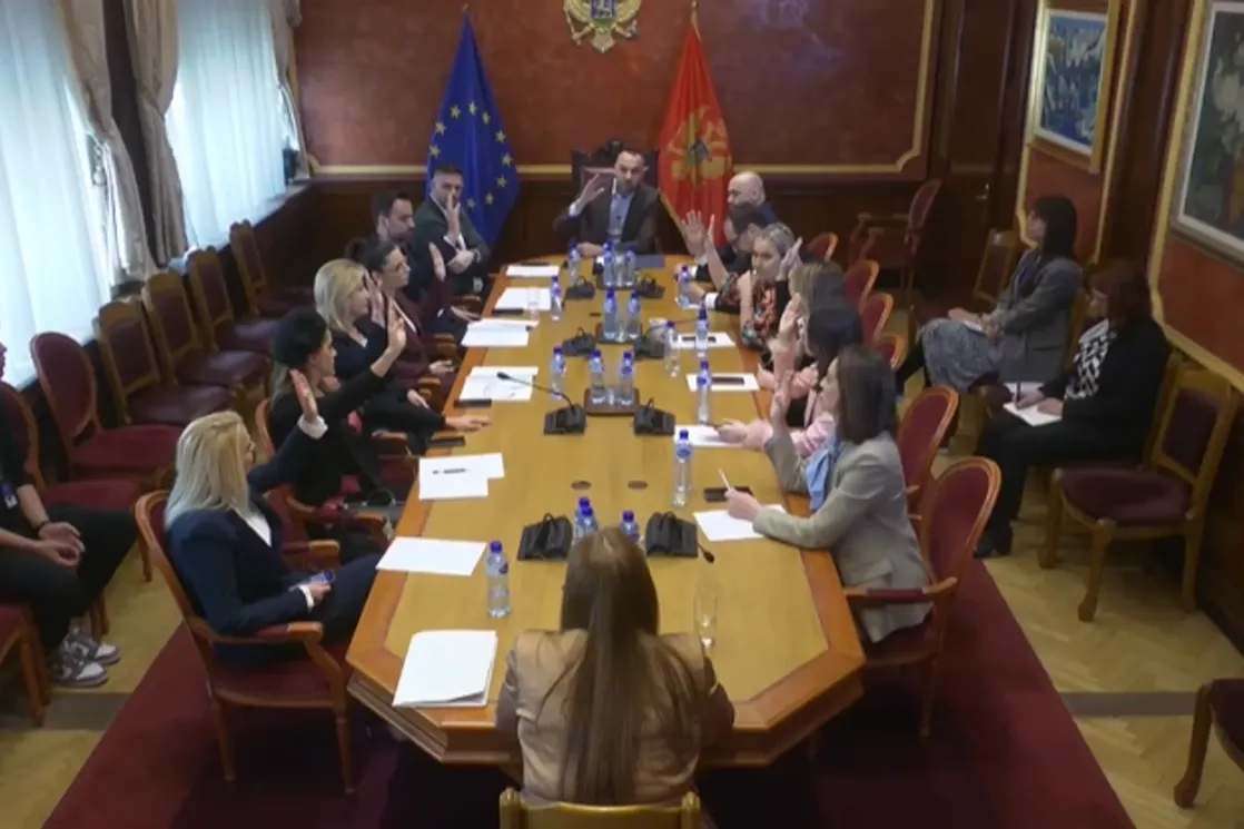 Odbor podržao imenovanje Šćepanović za ambasadorku pri Savjetu Evrope