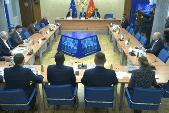 Šahmanović i Vuković o cijenama goriva pred Odborom za ekonomiju