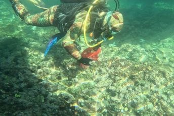 (FOTO) Akcija čišćenja na području Parkova prirode Platamuni, Katič i Stari Ulcinj: Iz mora izvučene plinske boce, gume, ostaci ribarskih mreža.... (FOTO) Akcija čišćenja na području Parkova prirode Platamuni, Katič i Stari Ulcinj: Iz mora izvučene plinske boce, gume, ostaci ribarskih mreža....