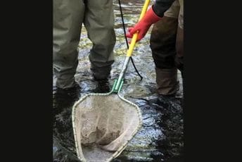 NPCG: Zaplijenjeno 11 pretvarača za nelegalni izlov ribe